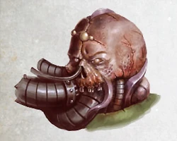 PlagueMarineHead