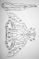 Starboard and dorsal schematics of a Manta