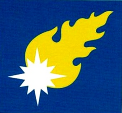 Marines Errant Chapter Symbol