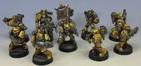 Imperial Fists Miniatures