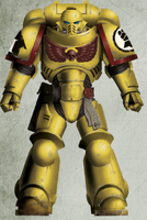Brother Orntek, 3rd Company, 2nd Squad (battleline), an Imperial Fists Primaris Space Marine in Mark X Tacticus Power Armour.