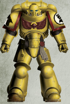 An Imperial Fists Primaris Space Marine, Brother Orntek, 3rd Company, 2nd Squad (Battleline) in Mark X Tacticus Power Armour.