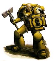 Imperial Fists Veteran Battle-Brother, armed with a Thunder Hammer and Storm Shield