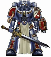 Grey Knight colour scheme.jpg (115 KB) A Grey Knight armed with arm-mounted Storm Bolter and Nemesis Force Sword.