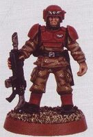 Cadian39thVeldt.jpg (15 KB) Cadian Shock Trooper of the 39th Cadian Regiment in standard uniform