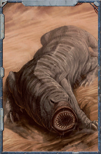 A Sand Tiger