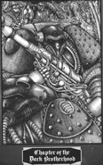 An Astartes of the Dark Brotherhood