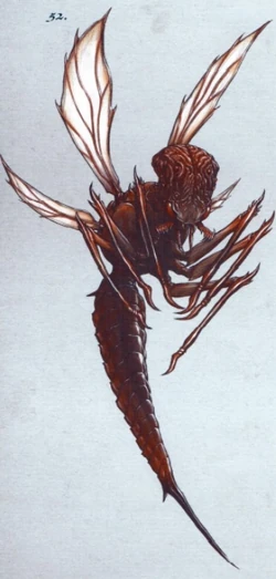 PsychneueinLiberXenologis