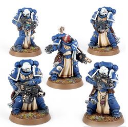 A squad of  Sternguard Veterans, all wearing , and armed with, from clockwise, a , an ,  and Heavy Bolter. The    at centre is armed with a  and .