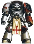 Fire Angels Veteran Brother Landgrave in Terminator Armour.