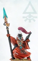 A Saim-Hann Warlock armed with a Singing Spear and Shuriken Pistol.