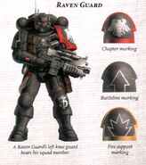 A Vanguard Infiltrator of the Raven Guard Chapter