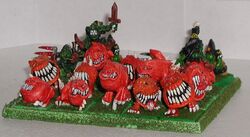 Squig herd