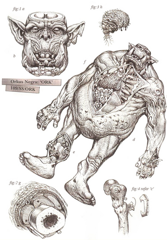 Fiziologiya Orkov Warhammer 40000 Wiki Fandom