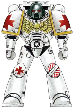 Hospitallers Chapter Colour Scheme as displayed by a  .