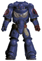 One of the Primaris Space Marines, Battle-Brother Dorvok, assigned to the Crimson Fists wearing Mark X Tacticus Power Armour; note that Crimson Fists display squad, but not company, markings.