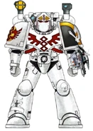 Ravenwing Apothecary.jpg (191 KB) An Apothecary of the Dark Angels Chapter's elite 2nd Company, the "Ravenwing".
