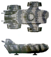 An Orca of Air Cadre El'Kala, from the Ksi'm'yen Sept