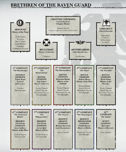 Raven Guard's Organisation Structure