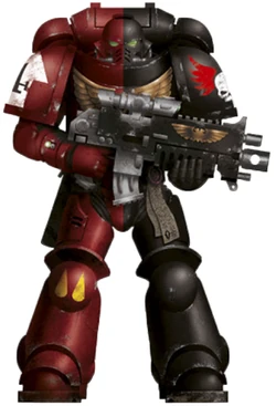 Angels Sanguine Chapter colour scheme as displayed by  Brother Artellios, 6th Company, 4th Squad ().