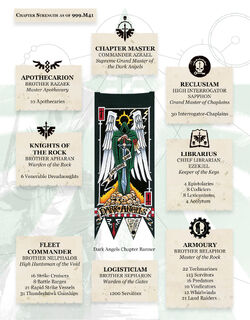 Dark Angels' Chpater Organisation