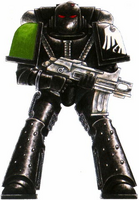 Pre-Heresy Raven Guard