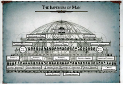 Imperium Structure & Organisation