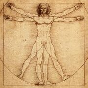 Vitruvian-Man