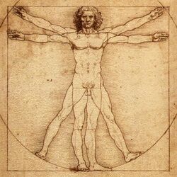 Vitruvian-Man