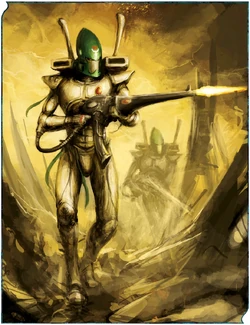 The Guardian warriors of  .