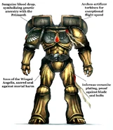 Dante's golden Artificer Armour