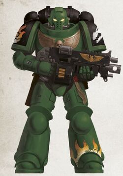 Salamanders, Warhammer 40k Wiki