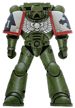 Dark Crusaders Astartes