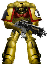 An Imperial Fists Primaris Space Marine in Mark X Tacticus Power Armour wielding a Mark II Cawl Pattern Bolt Rifle