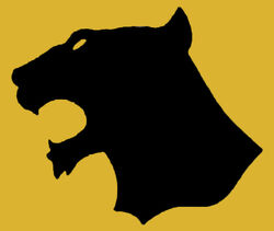 Tiger Claws Icon