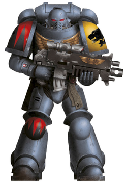 Space Wolves, Warhammer 40k Wiki