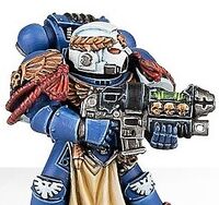 An Ultramarines Sternguard Veteran wielding a rare Combi-Bolter/Grav-Gun