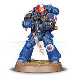 UltramarinesIntercessorVeteran