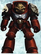 Exorcists Terminator.jpg (54 KB) Exorcists Lector Rabelias in Indomitus Pattern Terminator Armour.