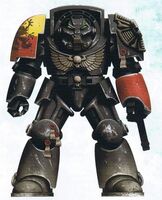 Veteran Brother Xaran wearing elite Terminator Armour in distinctive Codex-approved Night World Camouflage Pattern