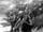 Penal Legion