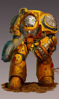 Imperial Fists Veteran Marine in Indomitus Pattern Terminator Armour.