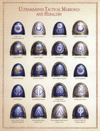 Ultramarines Legion tactical markings and heraldry