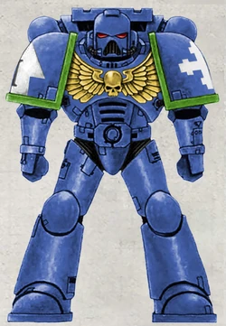 Avenging Sons Chapter colour scheme as displayed by a  .