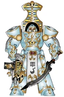 A Sekhemet Scarab Occult Terminator of the Grand Order of Hermetic Blades thrallband