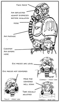 IIUPSchema2