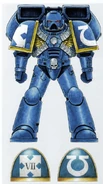 An Assault Marine of the Ultramarines 2nd Company