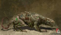 Warhammer Skaven Plague Rat