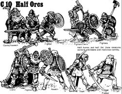 Half-orcs 1