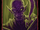 Melkhior the Ancient